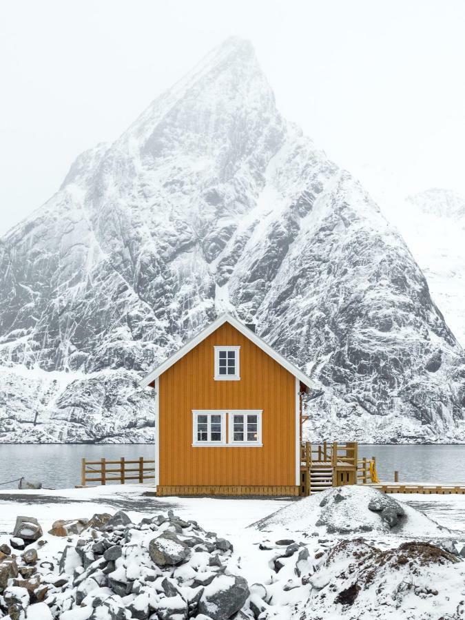 The Famous Yellow House Appartement